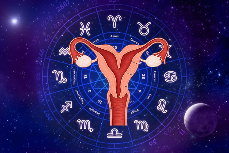 Uterus Problems